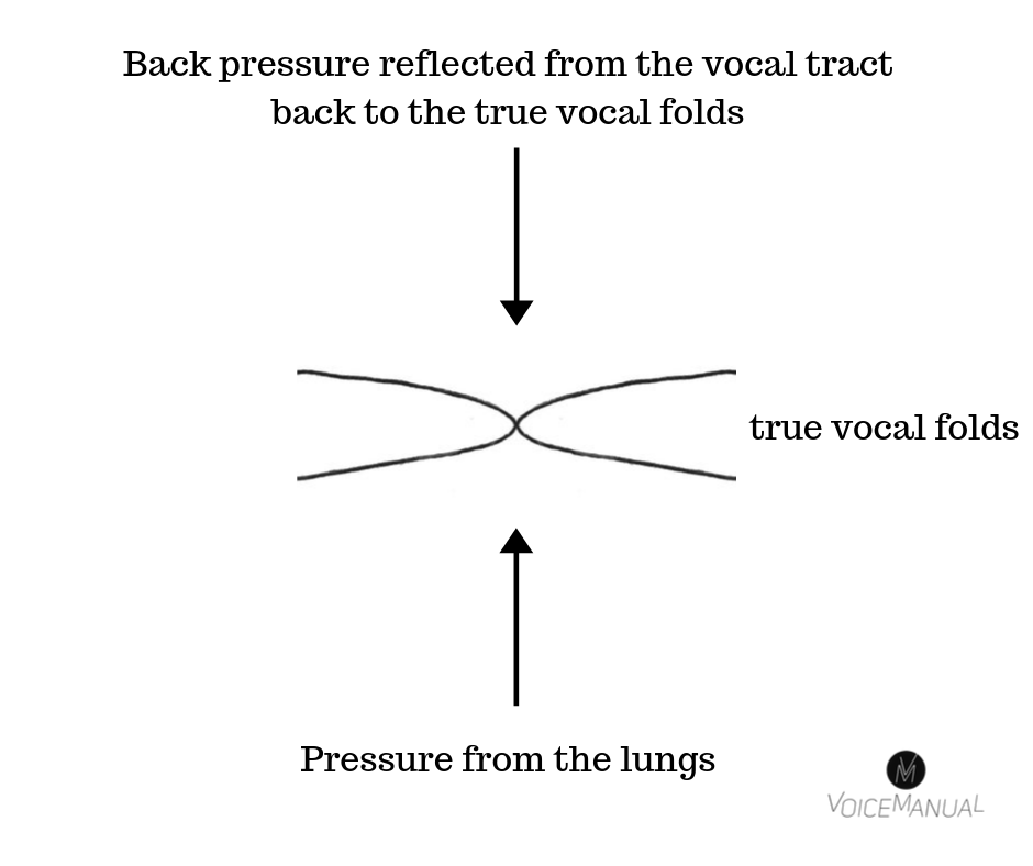 Bubbling for the voice? Lax vox? Restore your voice with SOVT training!